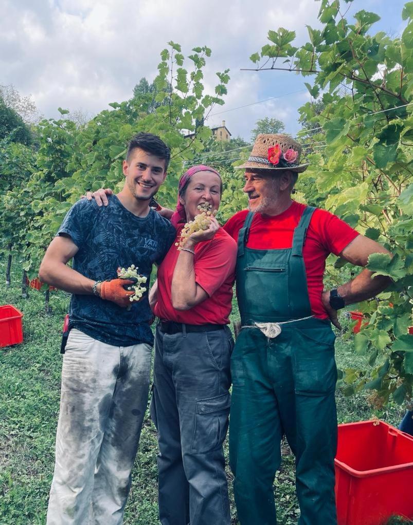 Agriturismo Le Noci Tarzo Εξωτερικό φωτογραφία