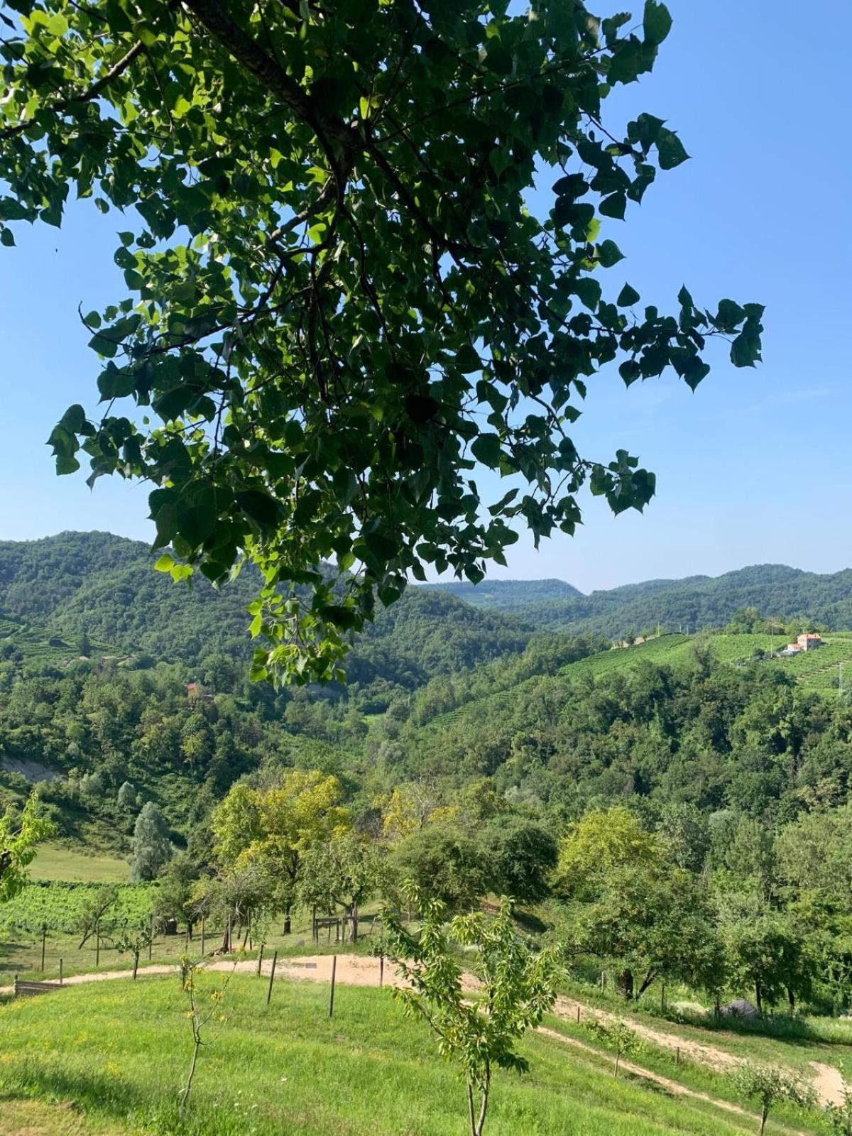 Agriturismo Le Noci Tarzo Εξωτερικό φωτογραφία