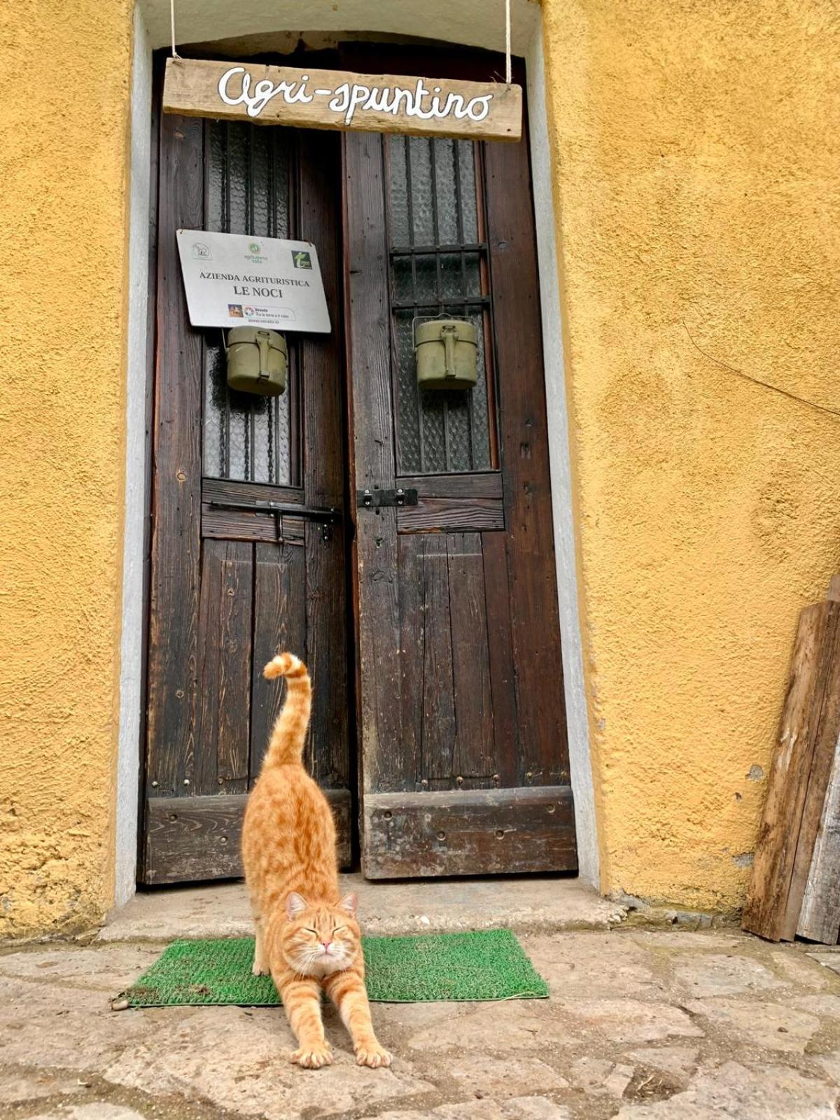 Agriturismo Le Noci Tarzo Εξωτερικό φωτογραφία