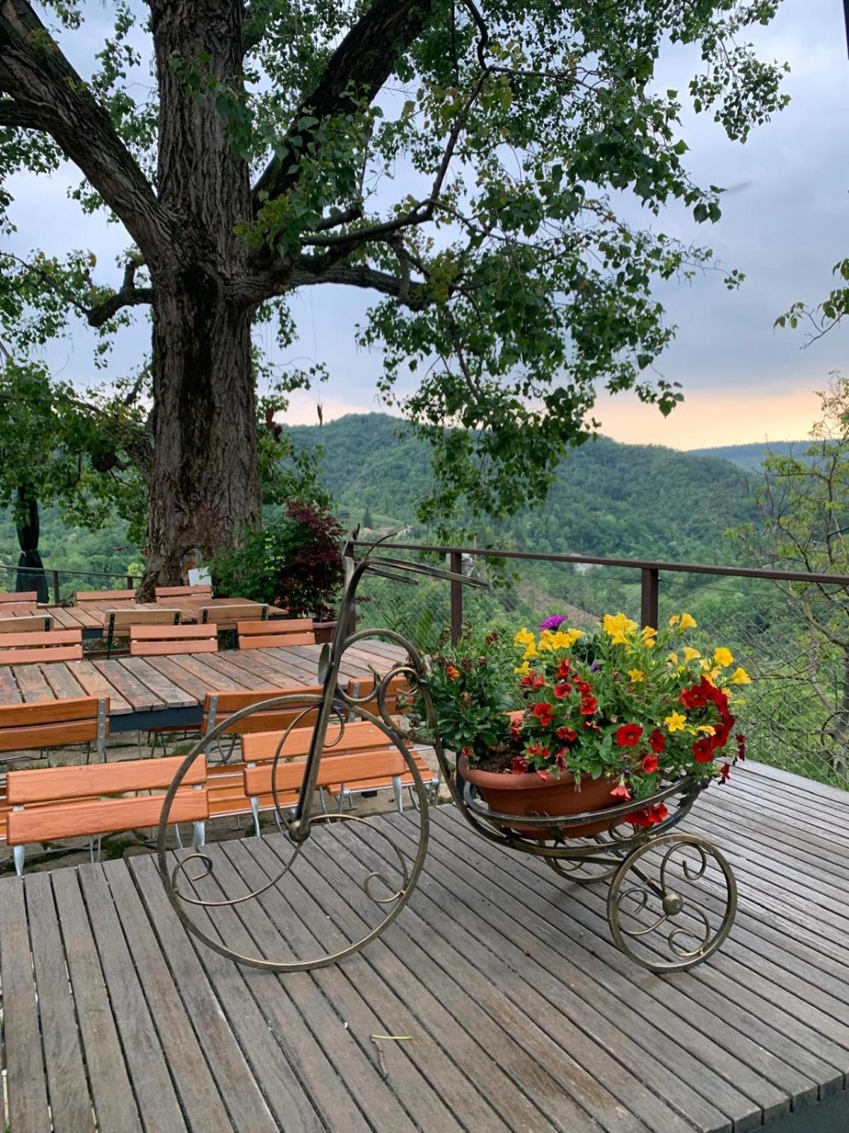 Agriturismo Le Noci Tarzo Εξωτερικό φωτογραφία