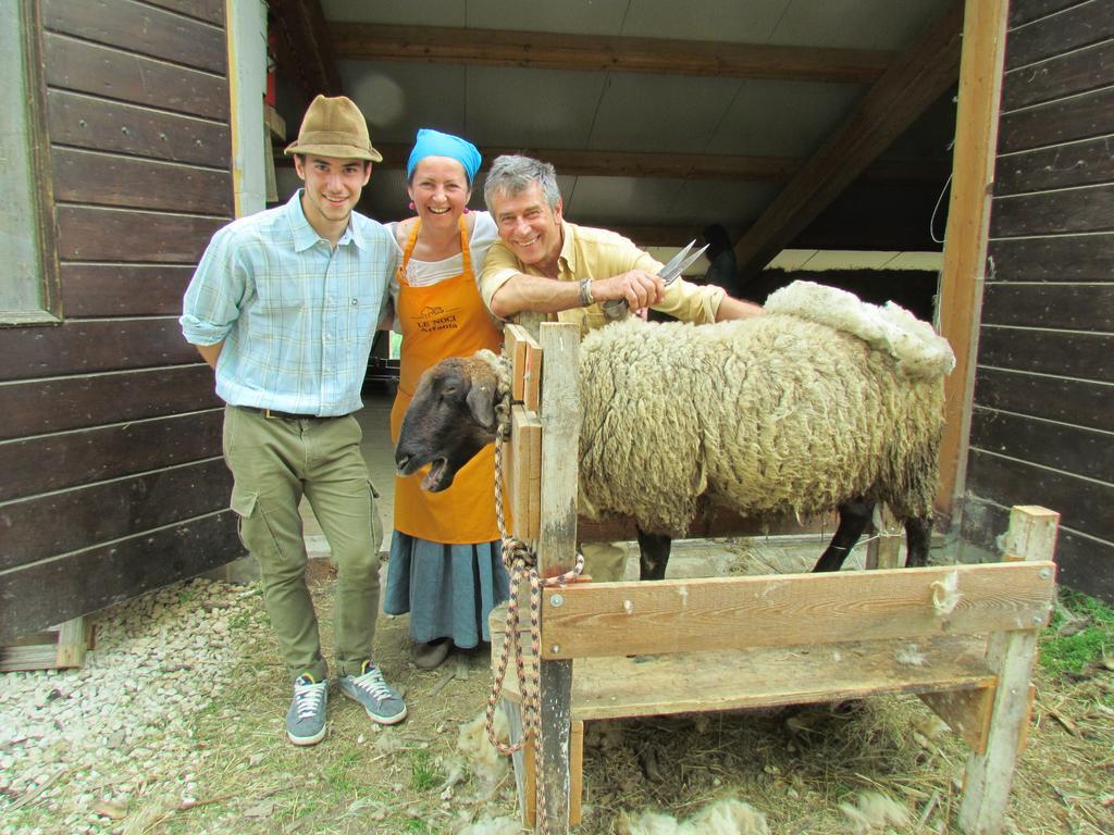 Agriturismo Le Noci Tarzo Εξωτερικό φωτογραφία